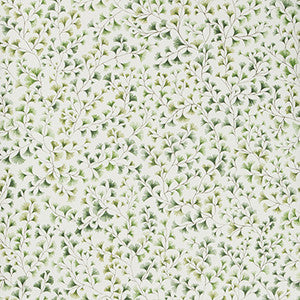 Maidenhair Olive by Cole & Son Designer Wallcovering