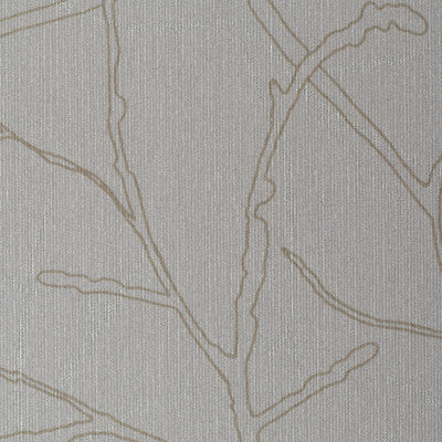 Sycamore Dawn by Winfield Thybony Designer Wallcovering