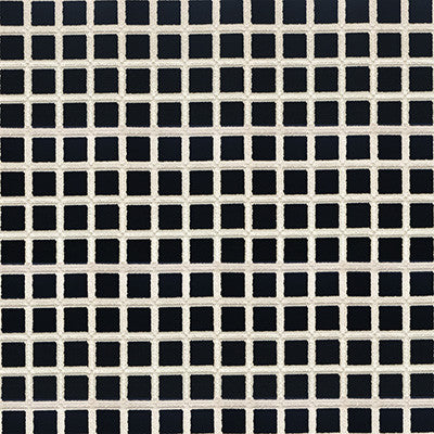 Buitrago Negro/Blanco by Gaston Y Daniela Designer Fabric