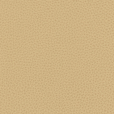 Kravet Smart Rigel-16 by Kravet Design Designer Fabric