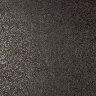 Kravet Design Deimos-68 by Kravet Design Designer Fabric