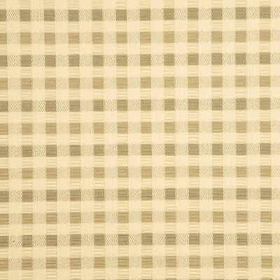 Wave Pleat Taupe by Parkertex Designer Fabric