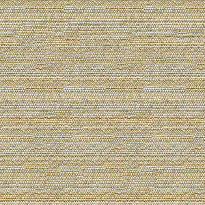 Kravet Couture 34274-1611 by Kravet Couture Designer Fabric