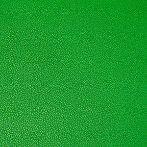 Syrus Lucky by Kravet Contract Designer Fabric