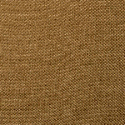 Shaba Oro by Gaston Y Daniela Designer Fabric