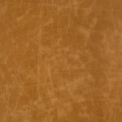 L-Cuero-Adobe by Kravet Design Designer Fabric