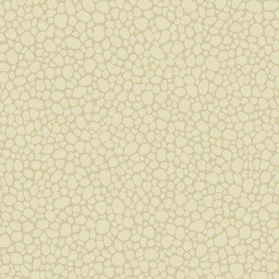 Pebble Cream by Cole & Son Designer Wallcovering