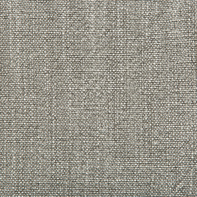 Kravet Basics 35189-2111 by Kravet Basics Designer Fabric