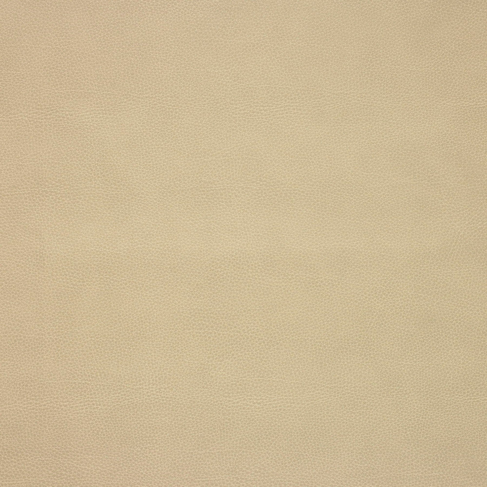 Kravet Design Loris-106 by Kravet Design Designer Fabric