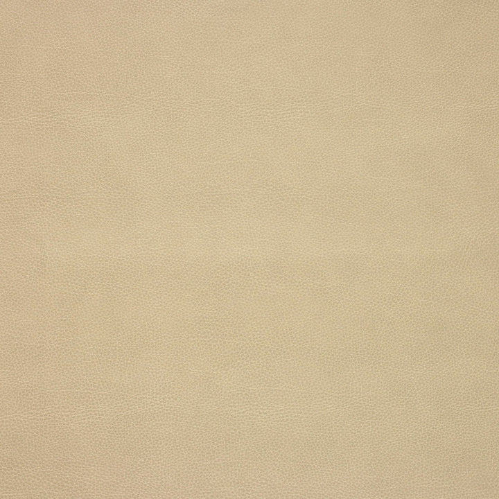 Kravet Design Loris-106 by Kravet Design Designer Fabric