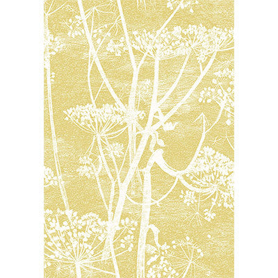 Cow Parsley Wht & Chartre by Cole & Son Designer Fabric
