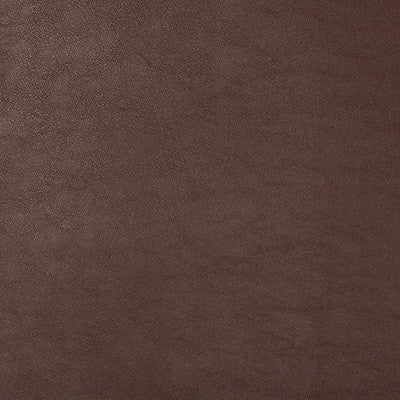 Kravet Design Swaps-9 by Kravet Design Designer Fabric