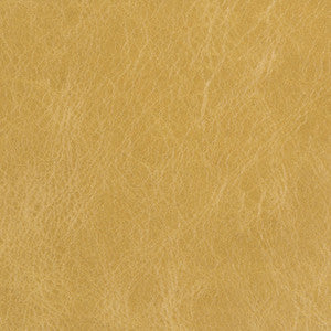 L-Beaumont-Sap by Kravet Basics Designer Fabric