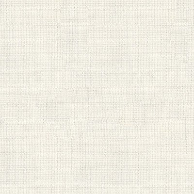 Kravet Basics 4106-101 by Kravet Basics Designer Fabric