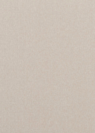 Carnival Plain Pumice by Baker Lifestyle Designer Fabric