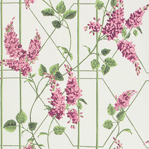 Wisteria Magenta/Green/Wh by Cole & Son Designer Wallcovering