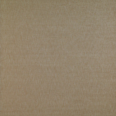Alcala Cuerda by Gaston Y Daniela Designer Fabric