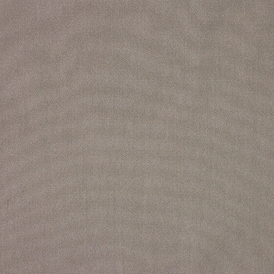 Canvas Taupe by Kravet Design Designer Fabric