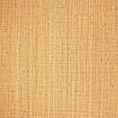 Ayllon Paja by Gaston Y Daniela Designer Wallcovering