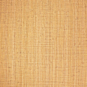 Ayllon Paja by Gaston Y Daniela Designer Wallcovering