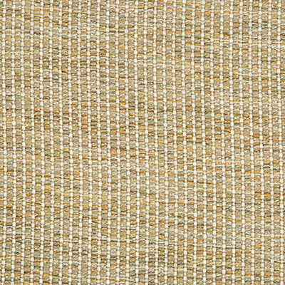 Kravet Design 34665-411 by Kravet Design Designer Fabric