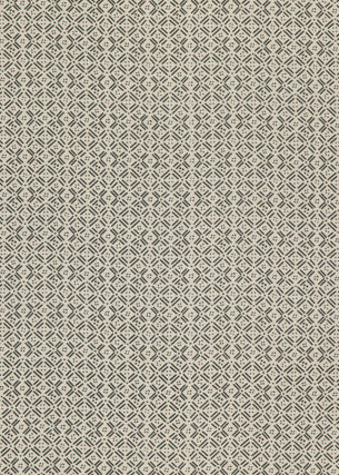 Aslin Charcoal by Threads Designer Fabric
