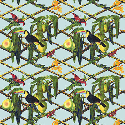 Tucan Original by Gaston Y Daniela Designer Fabric