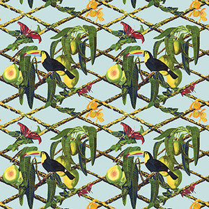 Tucan Original by Gaston Y Daniela Designer Fabric