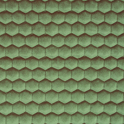 Quercus Verde by Gaston Y Daniela Designer Fabric