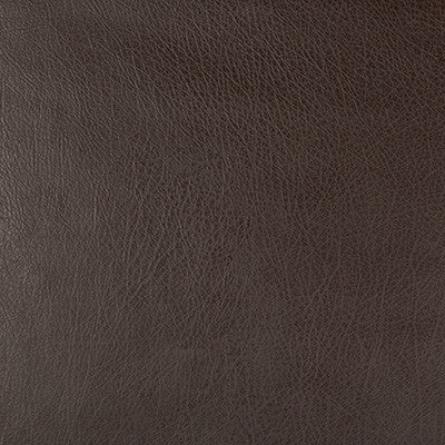 Kravet Design Deimos-66 by Kravet Design Designer Fabric