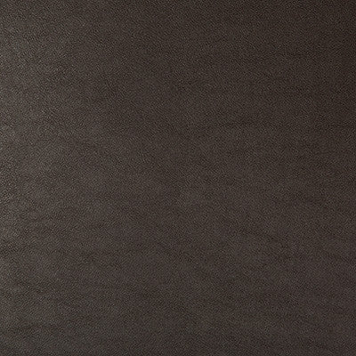 Kravet Design Swaps-66 by Kravet Design Designer Fabric
