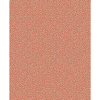 Vermicelli Coral by Cole & Son Designer Wallcovering