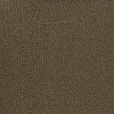 Kravet Basics Matter-21 by Kravet Basics Designer Fabric