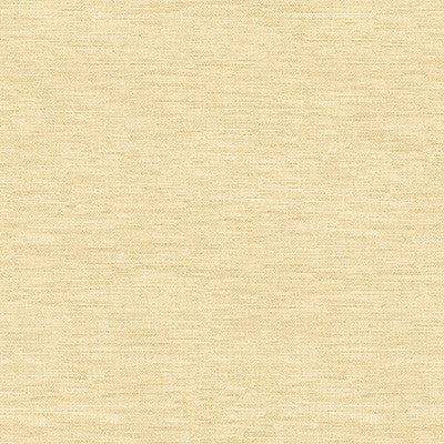 Kravet Design 4205-416 by Kravet Design Designer Fabric