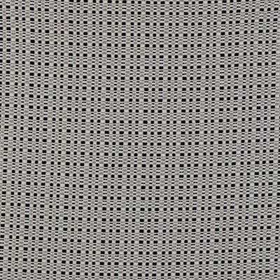 Out Blanco/Negro by Gaston Y Daniela Designer Fabric