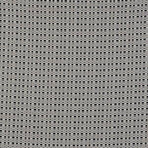 Out Blanco/Negro by Gaston Y Daniela Designer Fabric