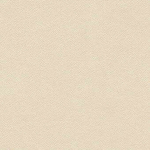 Kravet Design Litestar-1 by Kravet Design Designer Fabric