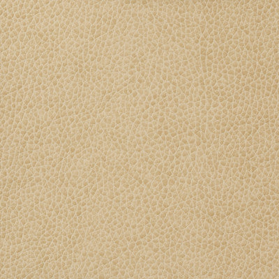 Kravet Basics Matter-1116 by Kravet Basics Designer Fabric