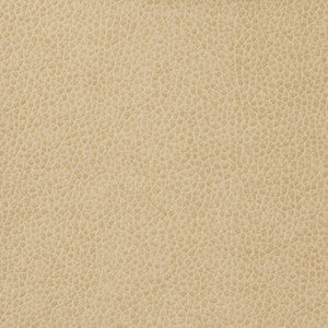 Kravet Basics Matter-1116 by Kravet Basics Designer Fabric