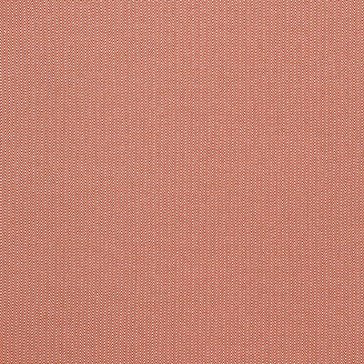 Donald Rojo by Gaston Y Daniela Designer Fabric