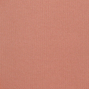 Donald Rojo by Gaston Y Daniela Designer Fabric