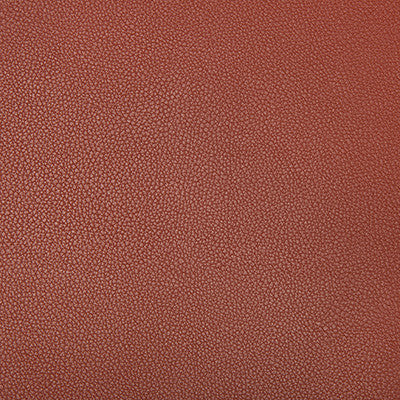 Syrus Sienna by Kravet Contract Designer Fabric