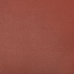 Syrus Sienna by Kravet Contract Designer Fabric