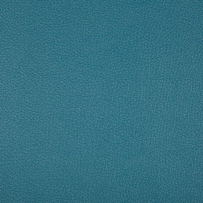 Syrus Lakeview by Kravet Contract Designer Fabric