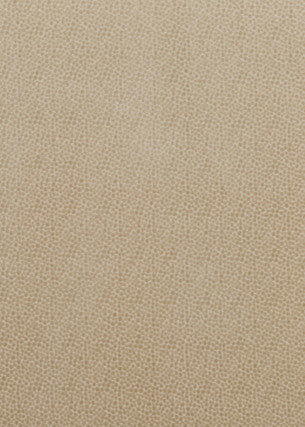 Salsa Spot Parchment by Baker Lifestyle Designer Fabric