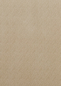 Salsa Spot Parchment by Baker Lifestyle Designer Fabric