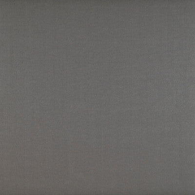 Recoletos Vison by Gaston Y Daniela Designer Fabric