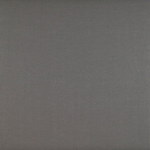 Recoletos Vison by Gaston Y Daniela Designer Fabric