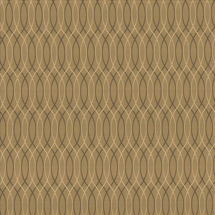 Asher Trellis Truffle  by Kasmir Designer Fabric 1438 100% Polyester
 TURKEY 30,000 Wyzenbeek Double Rubs Horizontal: 2 2/8 inches and Vertical: 12 2/8 inches 57  - Swanky Fabrics -