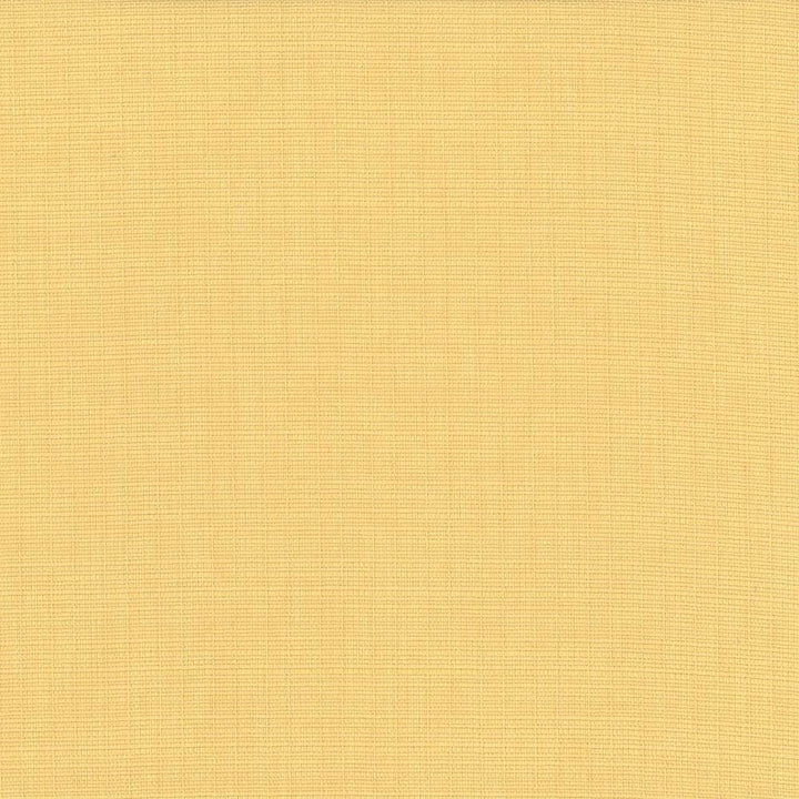 Auberge Champagne by Kasmir Designer Fabric 5055 100% Polyester
 TAIWAN 100,000 Wyzenbeek Double Rubs </p><p>Repeat: Horizontal: N/A and Vertical: N/A 59 - Swanky Fabrics -